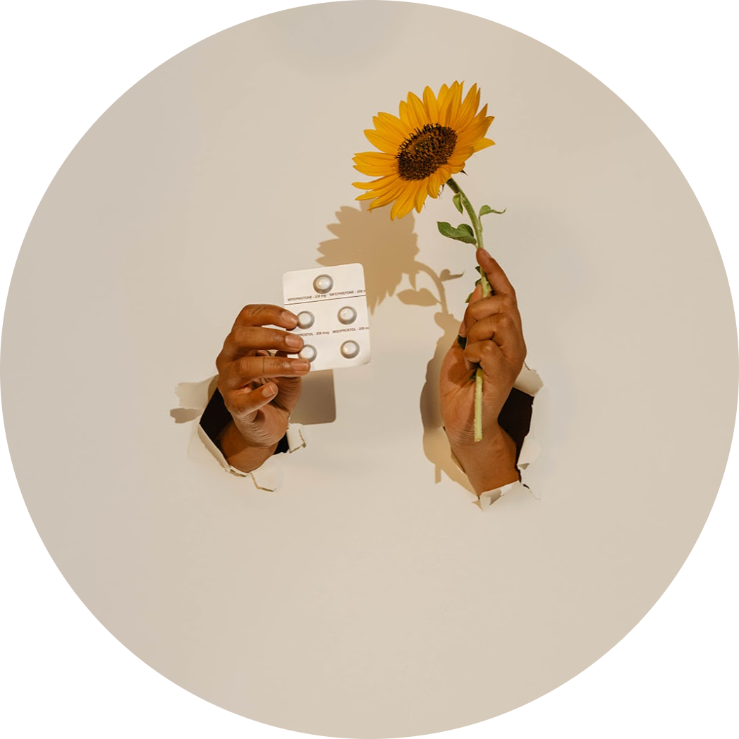 Hands cradling a small bloom
